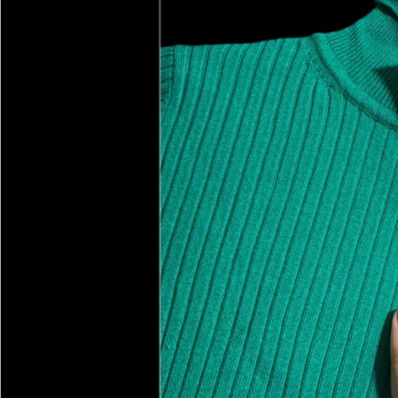 Zara Ribbed Turtleneck - Picture 3 of 3